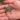 Silkworms