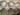 Silkworms