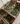 Silkworms